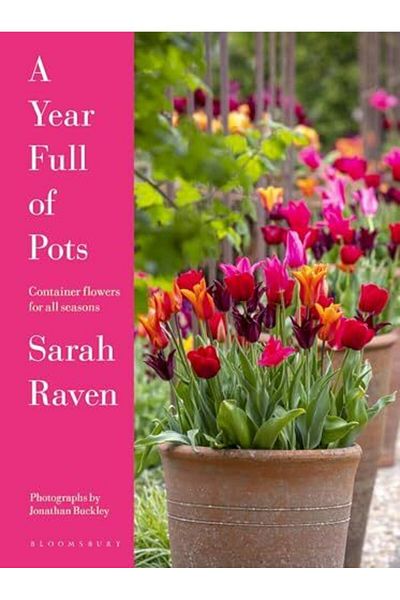Macmillan Distribution A Year Full Of Pots Container Flowers For All Seasons