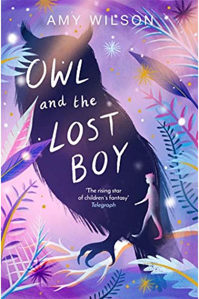 Macmillan Distribution Owl And The Lost Boy
