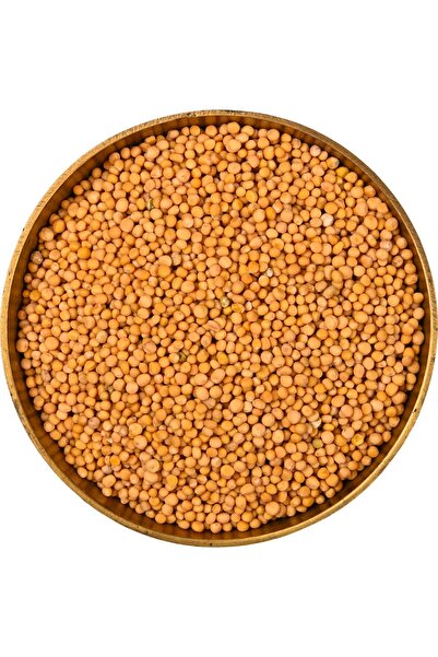 Bade Shop Hardal Sarı Tane Tohumu - 100 gr