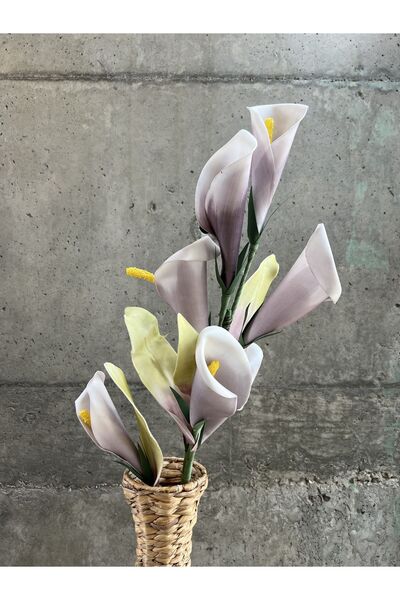 LAMEDORE Mor Barış Çiçeği