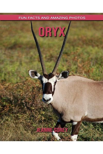 Ingram Oryx Fun Facts And Amazing Photos