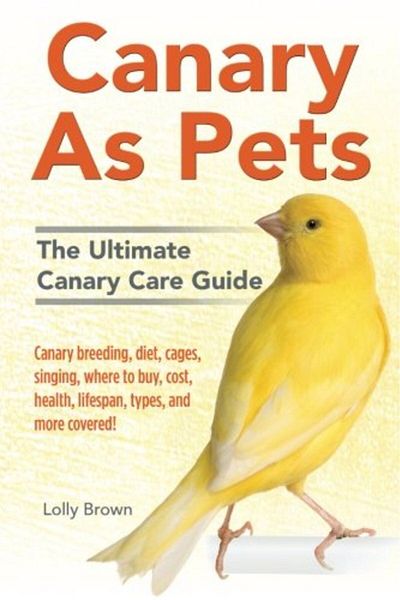 Ingram Canary As Pets Canary Breeding Diet Cages Singing Where To Buy Cost Health Lifespan Types