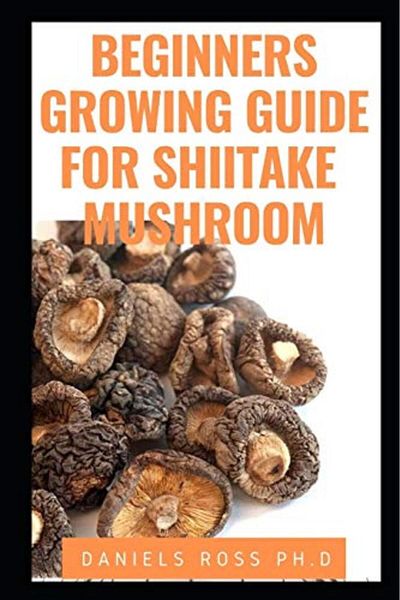 Ingram Beginners Growing Guide For Shiitake Mushroom Everything You Need To Know On Growing Cultivating A