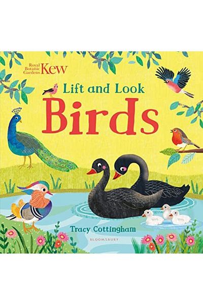 Macmillan Distribution Kew Lift And Look Birds