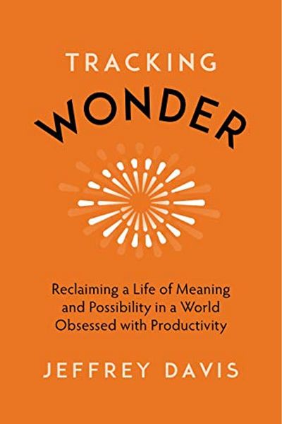 Macmillan Distribution Tracking Wonder Reclaiming A Life Of Meaning And Possibility In A World Obsessed With Productivity