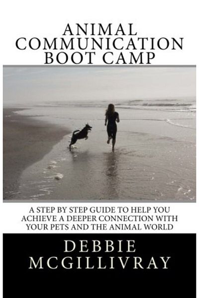 Ingram Animal Communication Boot Camp A Step By Step Program To Help You Achieve A Deeper Communication Wi