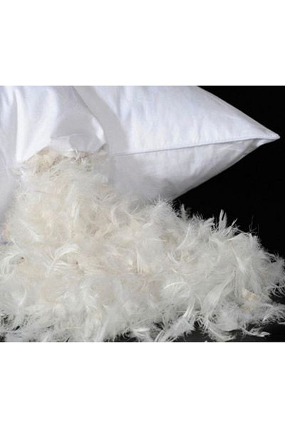 DNR 30X50 Decorative Goose Feather Pillow Throw Pillow - Inner Padding
