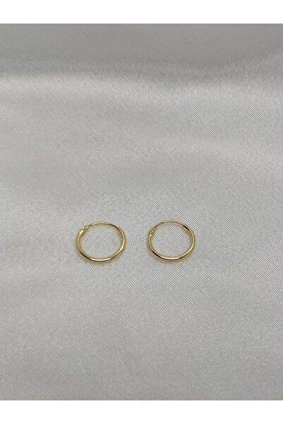 DCGÜMÜŞ 925 Ayar Gümüş Mini Gold Halka Küpe