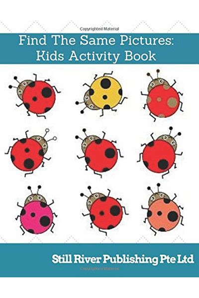Ingram Find The Same Pictures Kids Activity Book