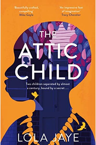 Macmillan Distribution The Attic Child