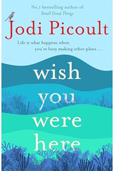 Hachette Distribution أتمنى لو كنت هنا، وهو الكتاب الأكثر مبيعًا في صحيفة صند...