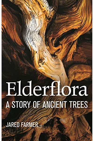 Macmillan Distribution Elderflora A Modern History Of Ancient Trees