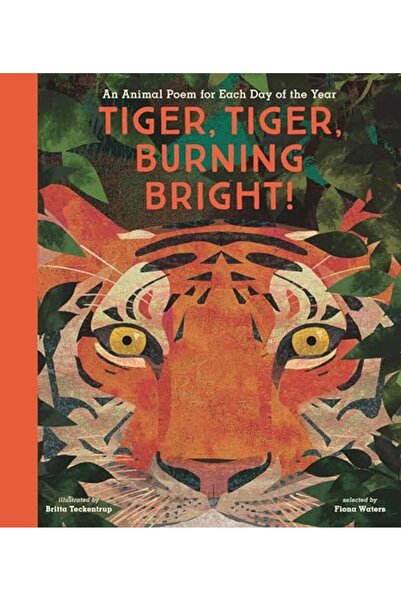 Harper Collins نمر نمر يحترق ببراعة قصيدة عن الحيوانات لكل يوم من أيام السنة