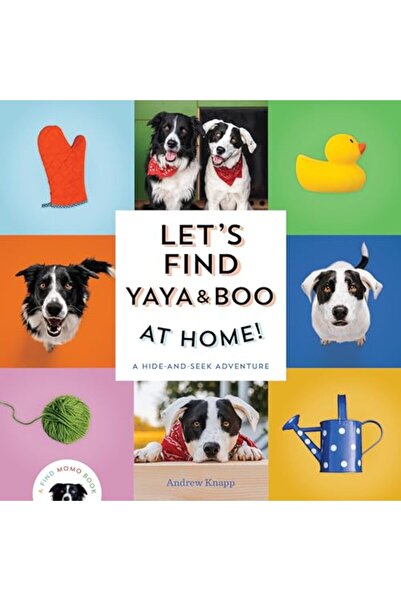 Penguin Random House دعونا نجد يايا وبو في المنزل مغامرة الاختباء