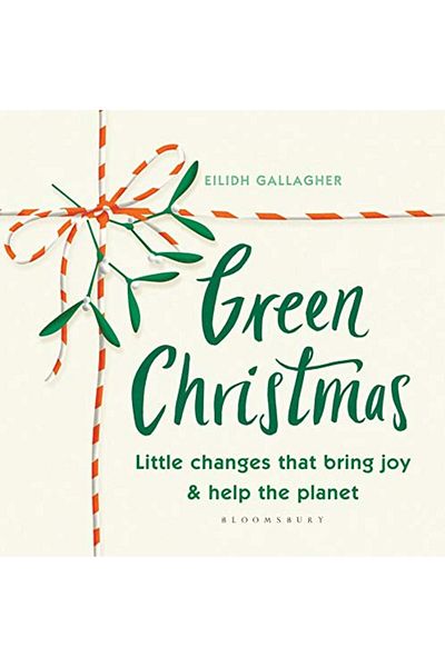 Macmillan Distribution Green Christmas Little Changes That Bring Joy And Help The Planet
