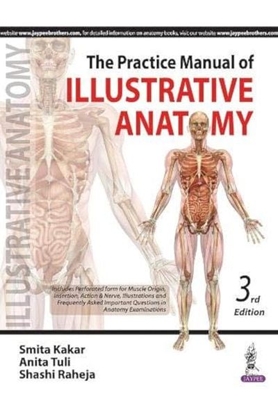Ingram The Practice Manual Of Illustrative Anatomy