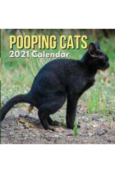 Ingram Pooping Cats Calendar 2021 Funny Animal Gag Joke Presents For Men Kids Women Birthday Christmas Sto
