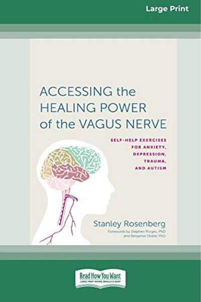 Ingram Accessing The Healing Power Of The Vagus Nerve Selfexercises For Anxiety Depression Trauma And