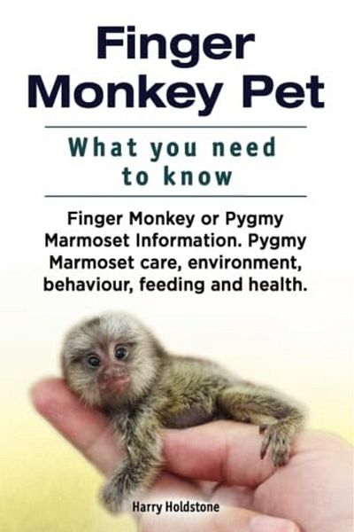 Ingram Finger Monkey Pet What You Need To Know Finger Monkey Or Pygmy Marmoset Information Pygmy Marmose