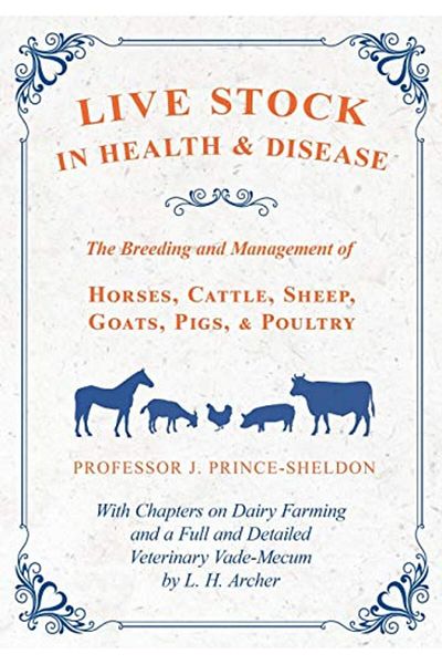 Ingram Live Stock In Health And Disease The Breeding And Management Of Horses Cattle Sheep Goats Pigs