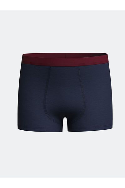 LC Waikiki Lcw Kids Vibrant Plum Printed Printed Boys' Boxers Set of 3