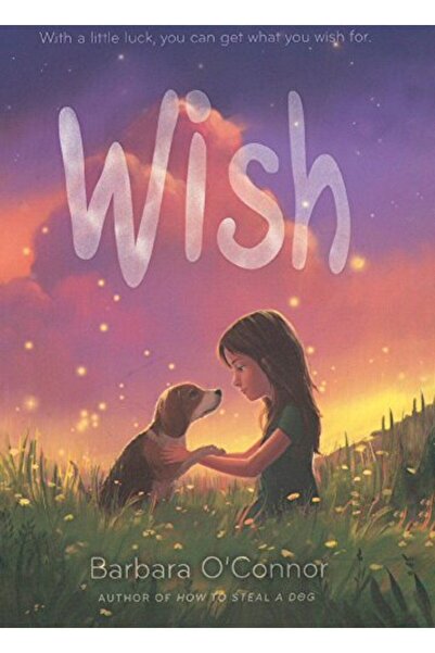 Perfection Learning يتمنى