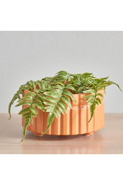 Home Box وعاء زراعة سيراميك مضلع من كوين - 18.5×18.5×17 سم