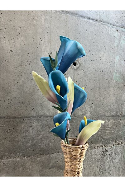 LAMEDORE Mavi Barış Çiçeği