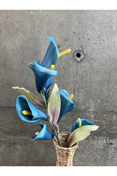 LAMEDORE Mavi Barış Çiçeği