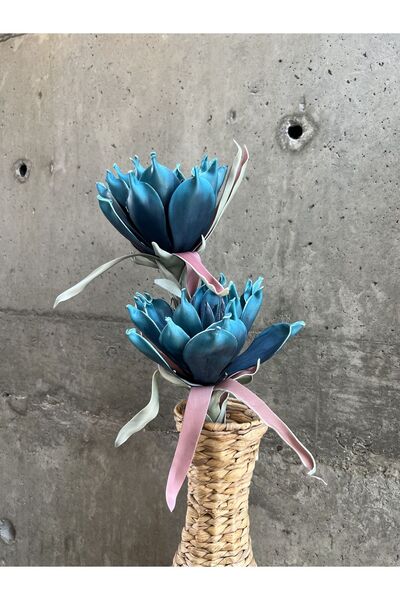 LAMEDORE Mavi Gorgon Çiçeği