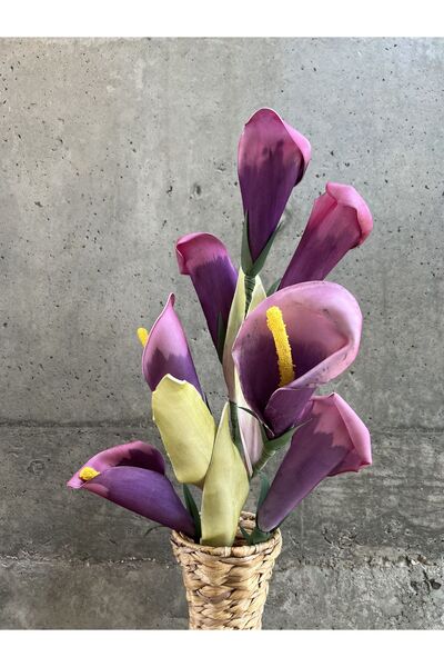 LAMEDORE Pembe Barış Çiçeği