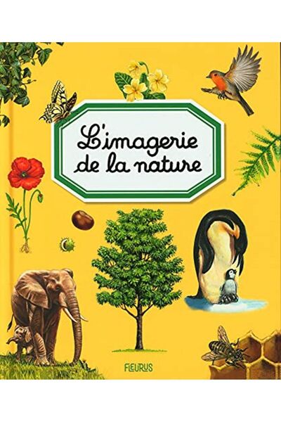 MDS صور الطبيعة