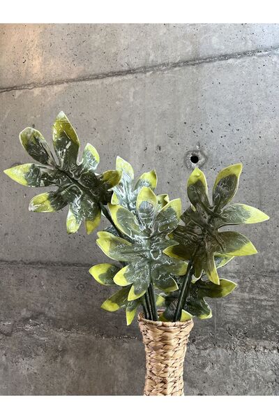 LAMEDORE Bloomy Yeşil Yaprak