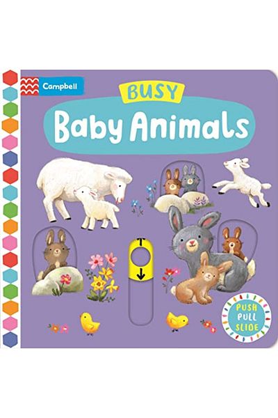 Macmillan Distribution Busy Baby Animals