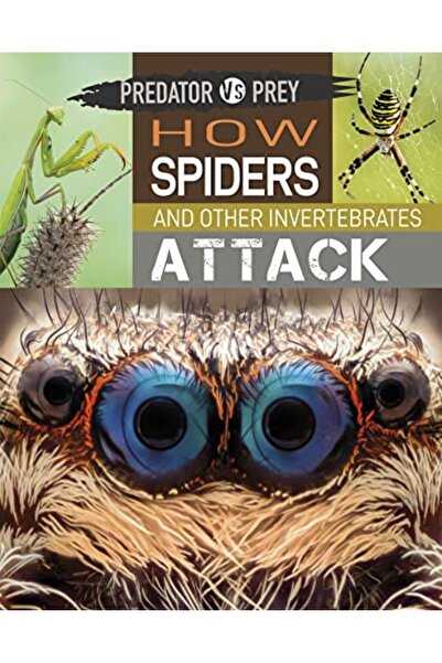 Hachette كيف تهاجم العناكب واللافقاريات الأخرى