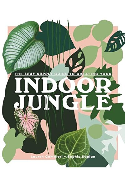 Hachette دليل إمدادات الأوراق لإنشاء غابة داخلية