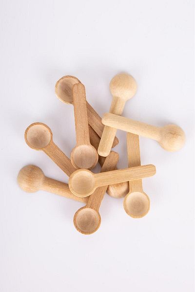 Home Set of 6 Bamboo Mini Spice Spoons