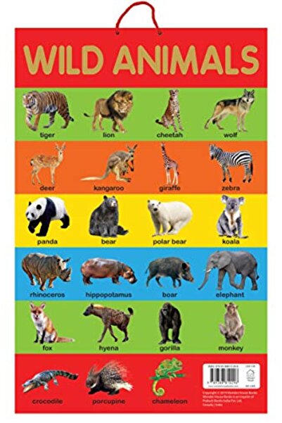 Prakash Books ملصقات تعليمية عن الحيوانات البرية للتعلم المبكر مثالية لمرحلة رياض الأطفال والحضانة والتعليم المنزلي