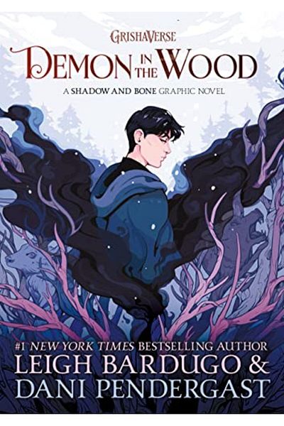 Macmillan Distribution Demon In The Wood Graphic Novel
