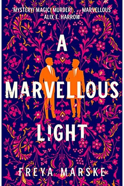 Macmillan Distribution A Marvellous Light