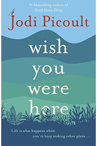 Hachette Distribution أتمنى لو كنت هنا