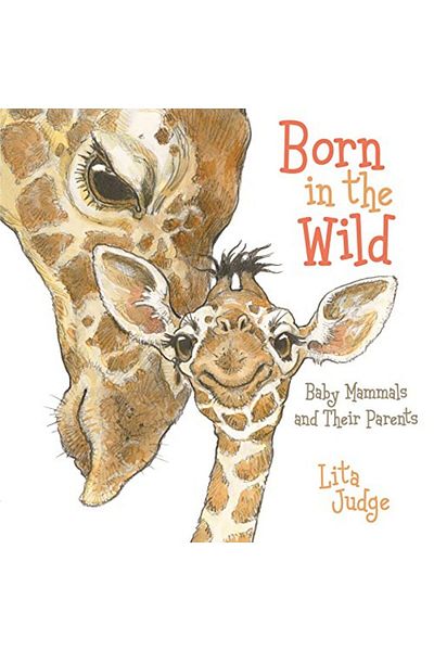 Macmillan Distribution Born In The Wild Baby Animals And Their Parents