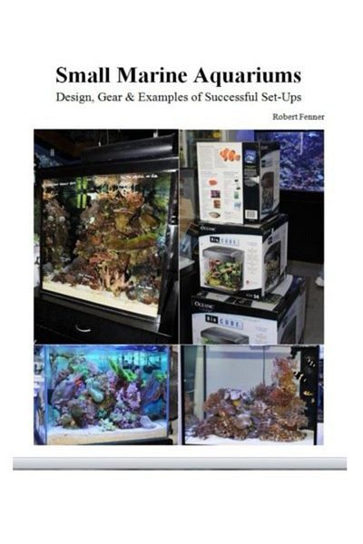 Ingram Small Marine Aquariums Design Gear & Examples Of Successful Setups