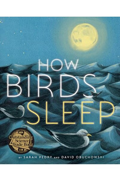 Penguin Random House كيف تنام الطيور