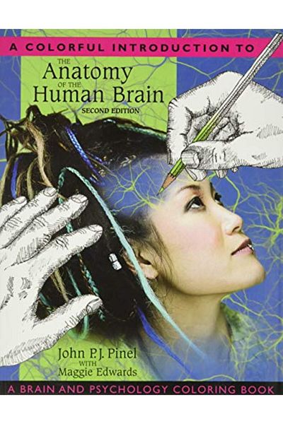 Pearson Colorful Introduction To The Anatomy Of The Human Brain A A Brain And Psychology Coloring Book