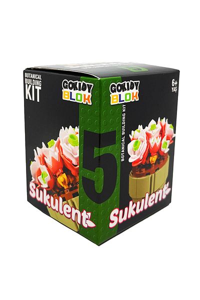Gokidy سلسلة بلوك عصاري - 5