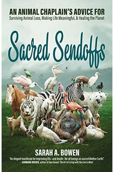 Ingram Sacred Sendoffs An Animal Chaplains Advice For Surviving Animal Loss Making Life Meaningful And