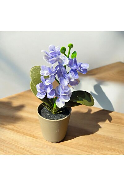 sedoshhomevision الأوركيد الاصطناعي المزخرف