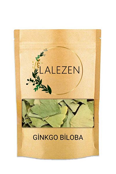 LALEZEN Ginkgo Biloba-Ginkgo Biloba Yaprağı - Mabet Ağacı Yaprağı -Japon Eriğ...