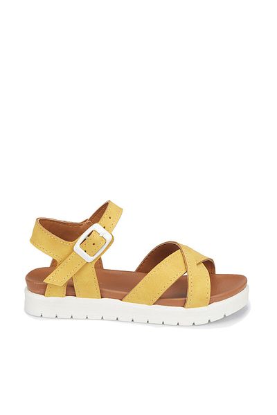 Polaris Mules